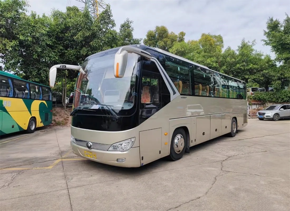 দীর্ঘ দূরত্বের বাস ডবল ডোর 46 সিট 11 মিটার বিলাসবহুল ইন্টেরিয়র ডেকোরেশন ব্যবহৃত ইয়াং টং বাস ZK6119