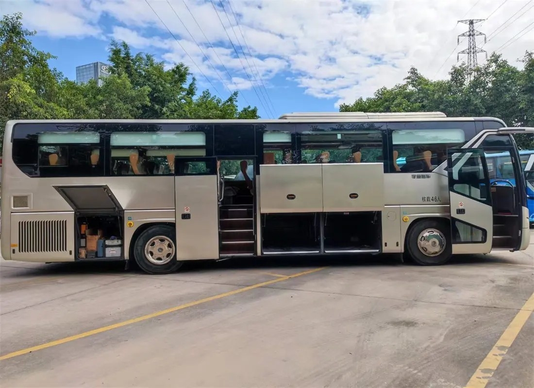 দীর্ঘ দূরত্বের বাস ডবল ডোর 46 সিট 11 মিটার বিলাসবহুল ইন্টেরিয়র ডেকোরেশন ব্যবহৃত ইয়াং টং বাস ZK6119