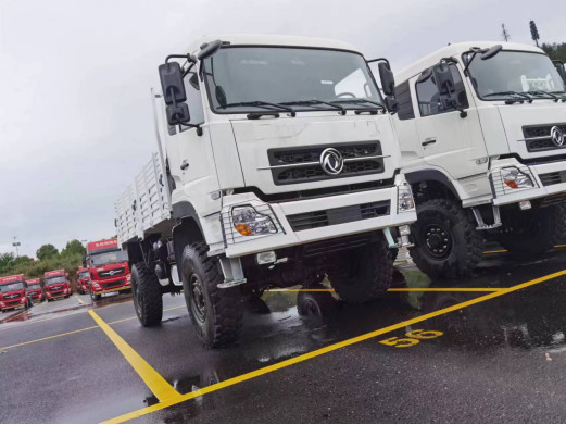 4x4 কার্গো ট্রাক ডংফেং বেড়া ট্রাক লিফ স্প্রিং 10 টন লোডিং খারাপ রাস্তা ড্রাইভিং ইউরো 5
